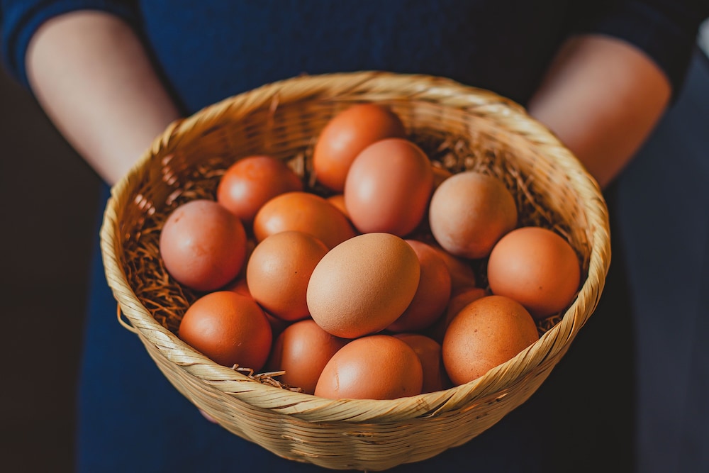 ホテル・ラ・ジェント・プラザ函館北斗 函館