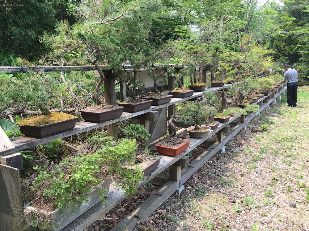 十和田湖ホステル 青森