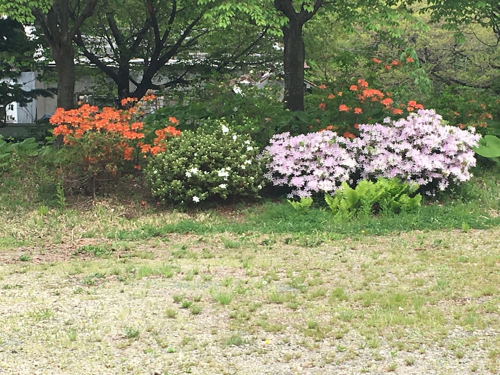 十和田湖ホステル 青森