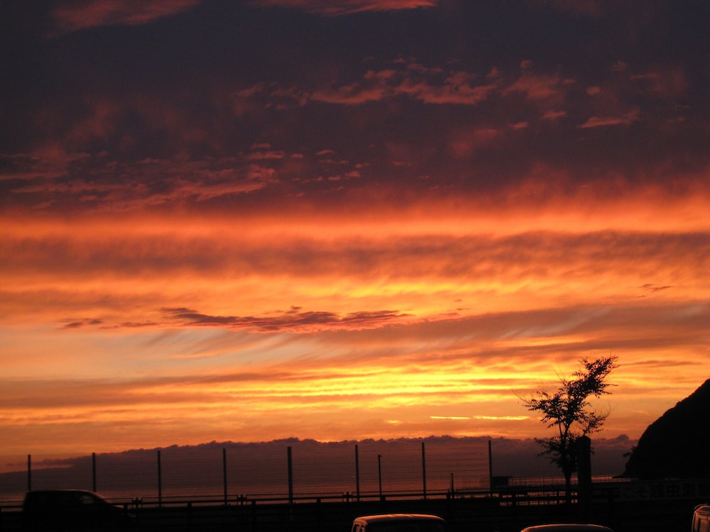 宿屋つばき 青森