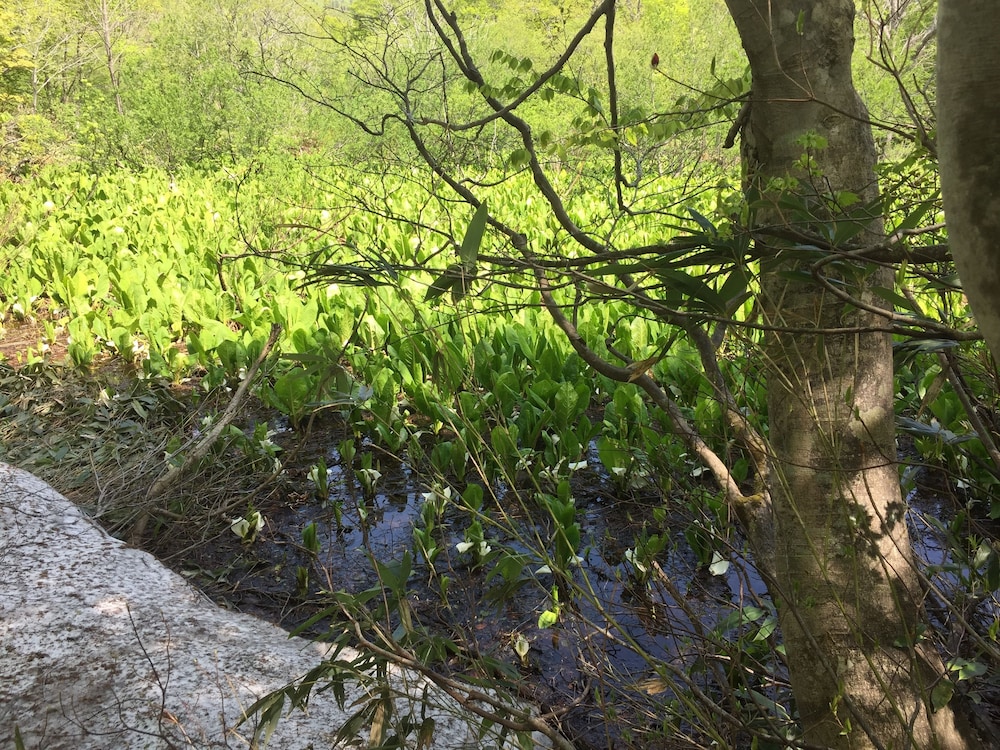 谷地温泉 三沢