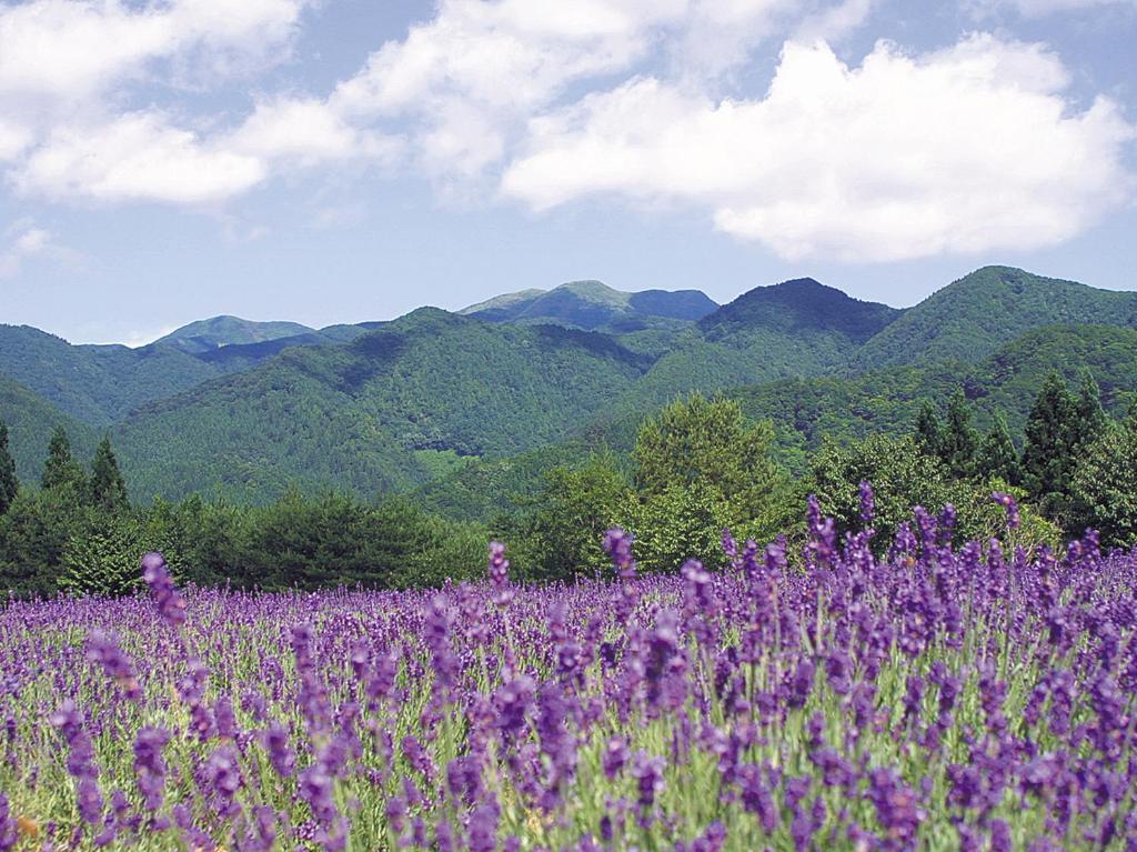 千畑温泉 サン・アール 秋田