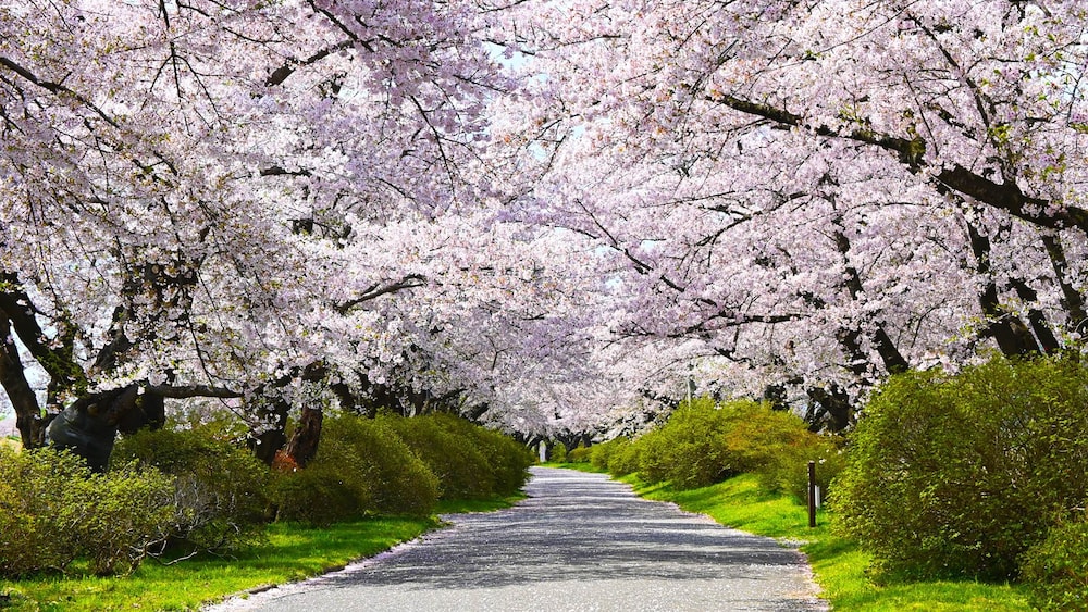 ANAホリデイ・イン岩手北上 BY IHG 花巻