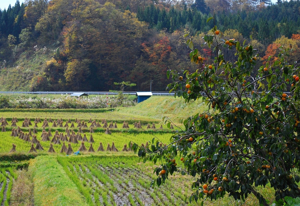 奥州平泉温泉 そば庵 しづか亭 花巻