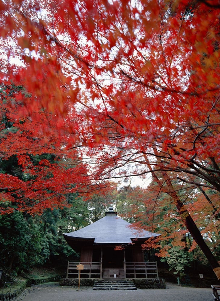 奥州平泉温泉 そば庵 しづか亭 花巻