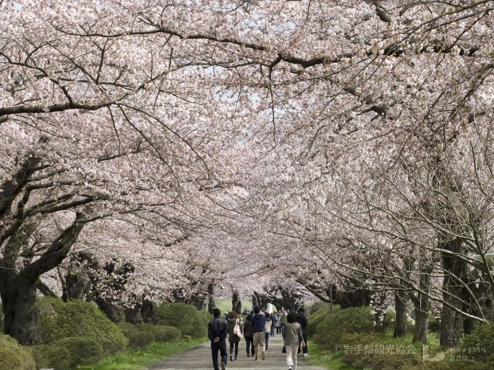 アパホテル〈北上駅西〉 花巻