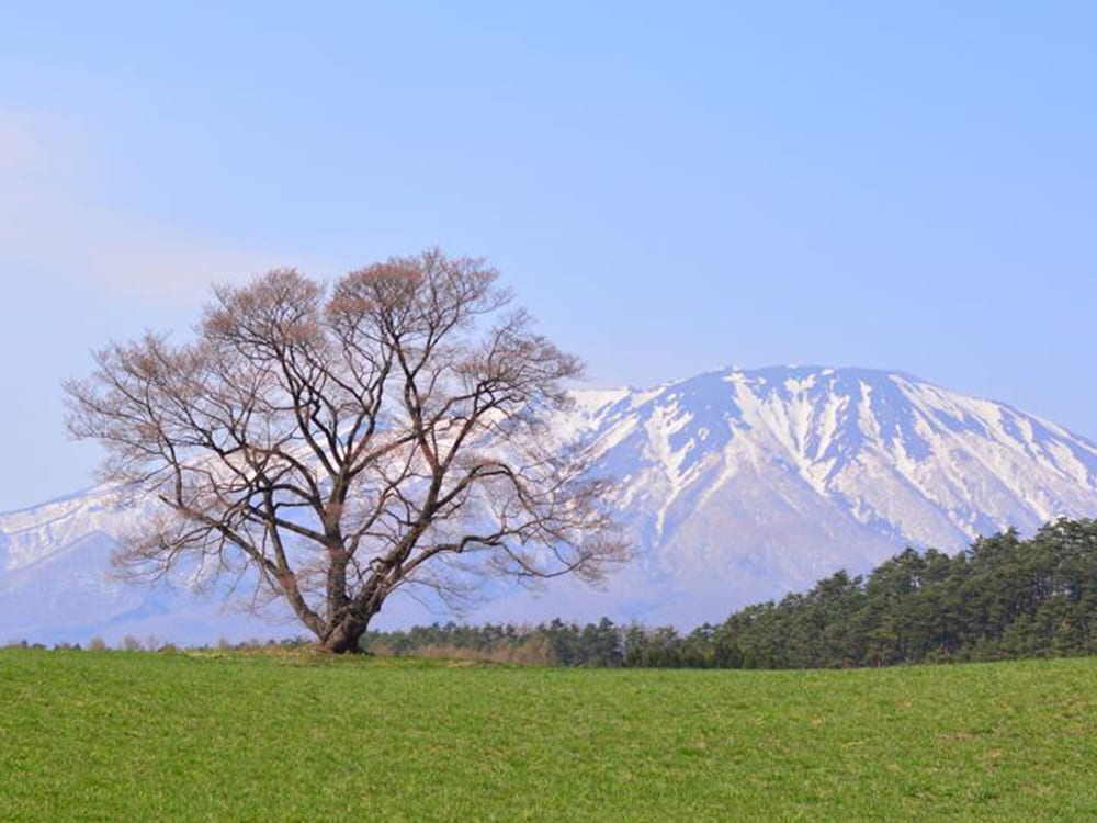 東横 INN 北上駅新幹線口 花巻