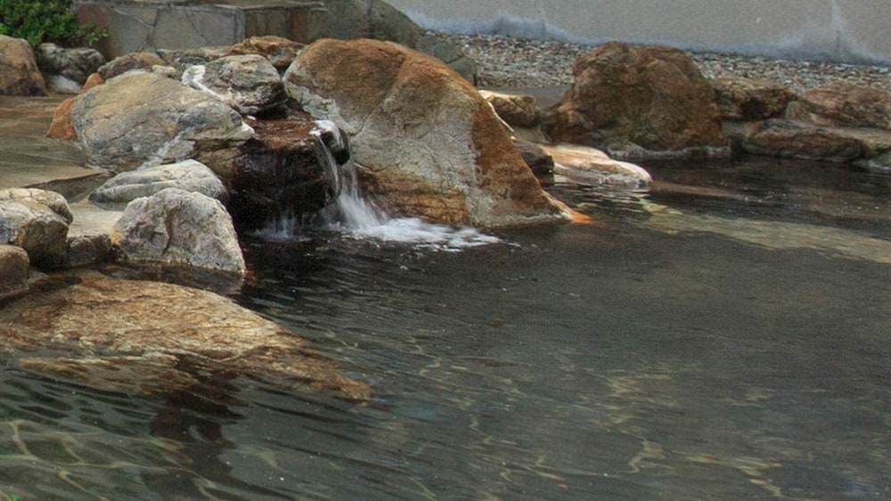 渡り温泉 ホテルさつき 花巻