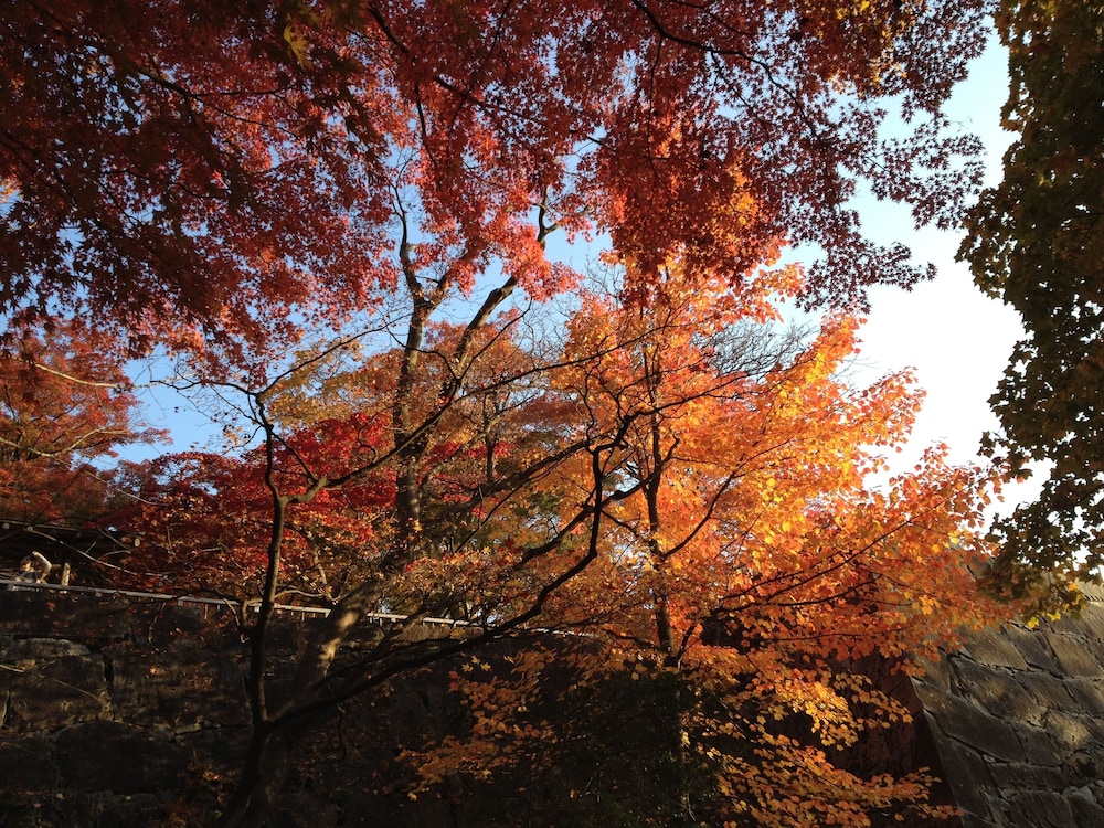 北ホテル 花巻