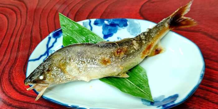 玉乃湯 花巻