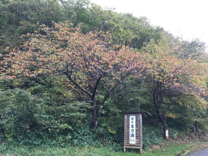 玉乃湯 花巻