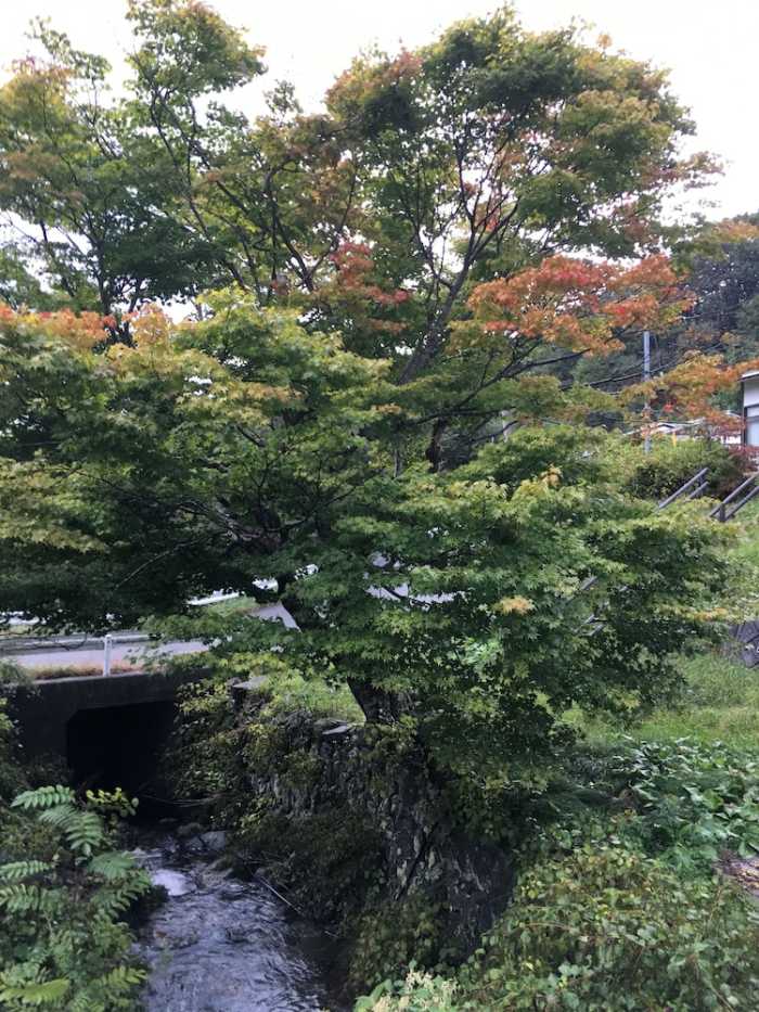 玉乃湯 花巻
