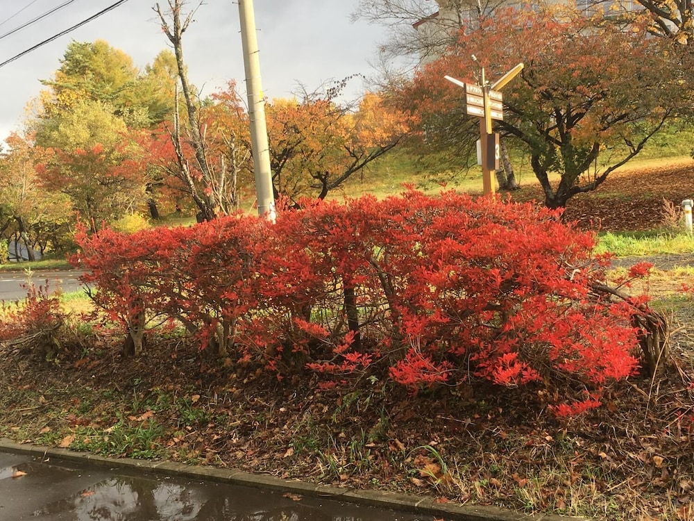 温泉ゲストハウス やすもり 花巻