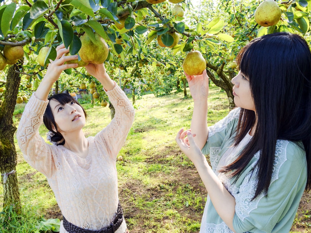 ホテル グリーン マーク 仙台