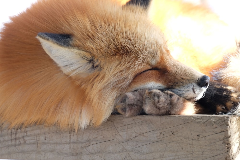 メルキュール宮城蔵王リゾート & スパ 仙台