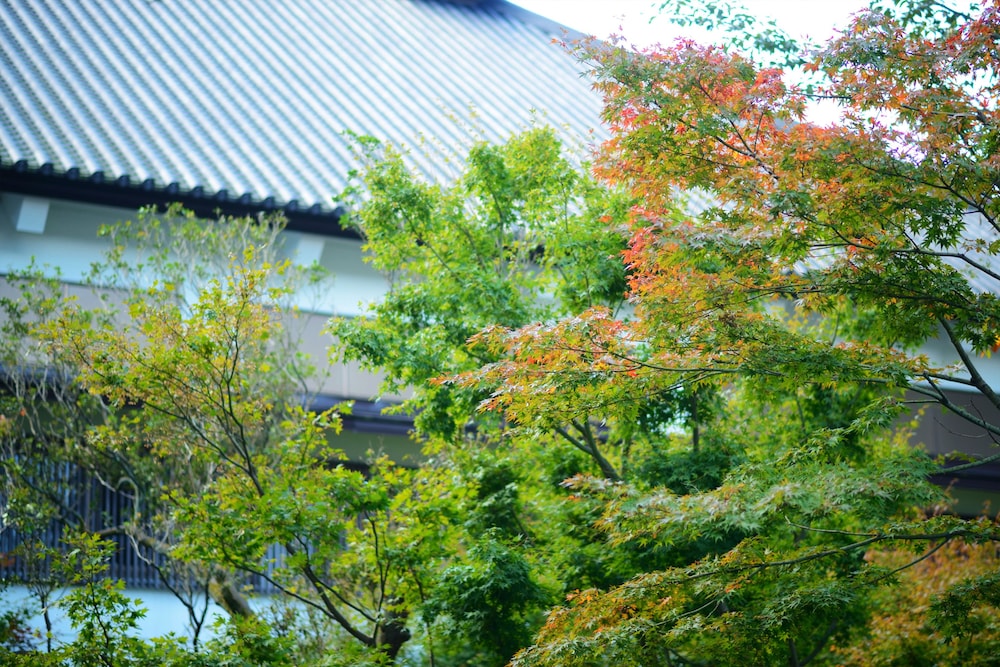 秋保温泉 伝承千年の宿 佐勘 仙台