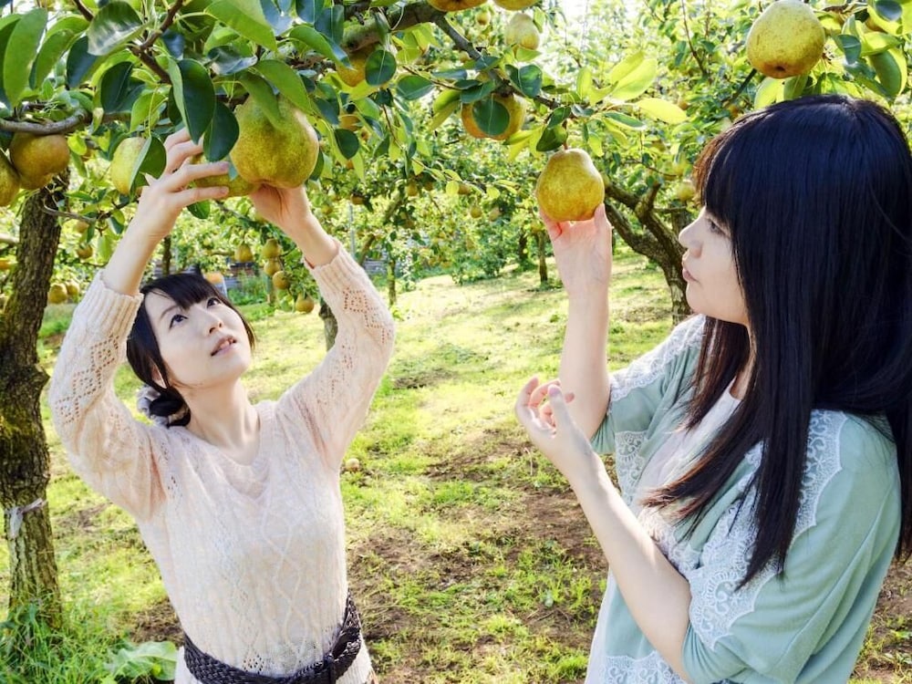 ホテル グリーン パーク 仙台
