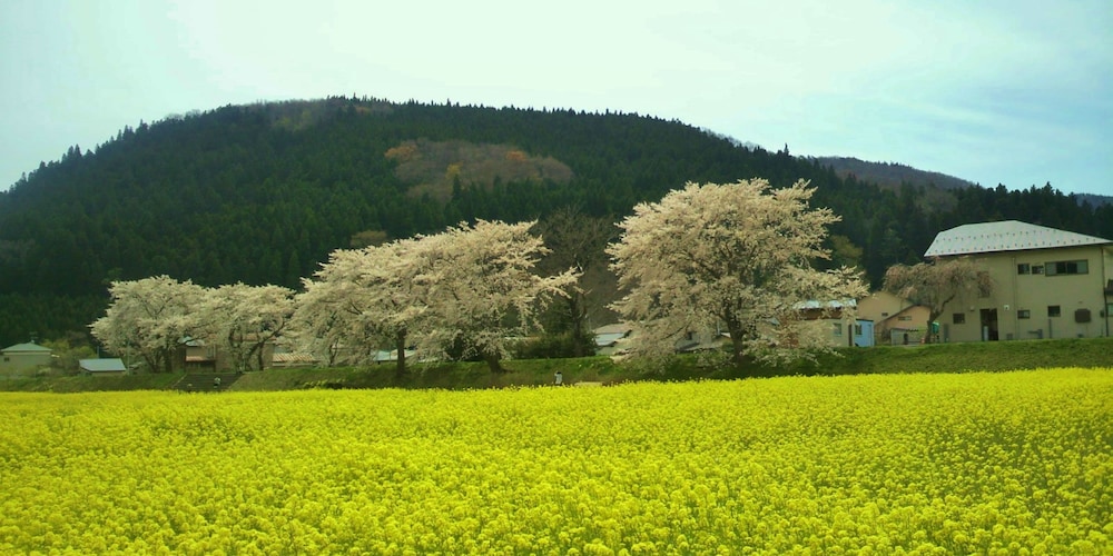 五湯ホテル 仙台