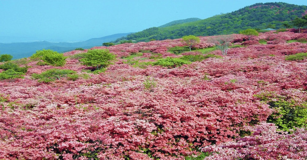ホテルパールシティ気仙沼 仙台