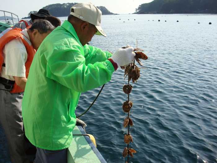 休暇村気仙沼大島 仙台