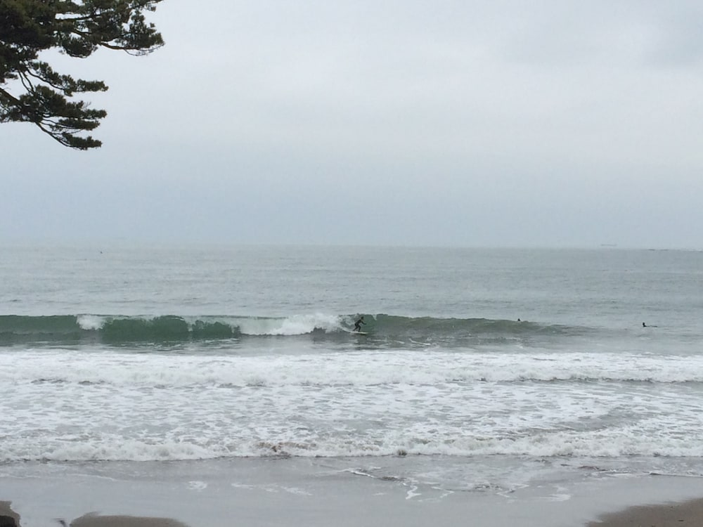 TRAVELER'S WHARF SHICHIGAHAMA 仙台