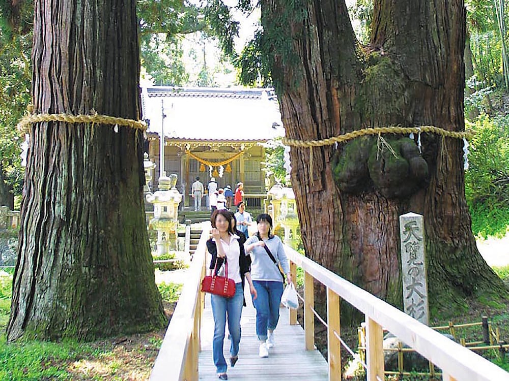 大江戸温泉物語PREMIUM よしのや依緑園 小松