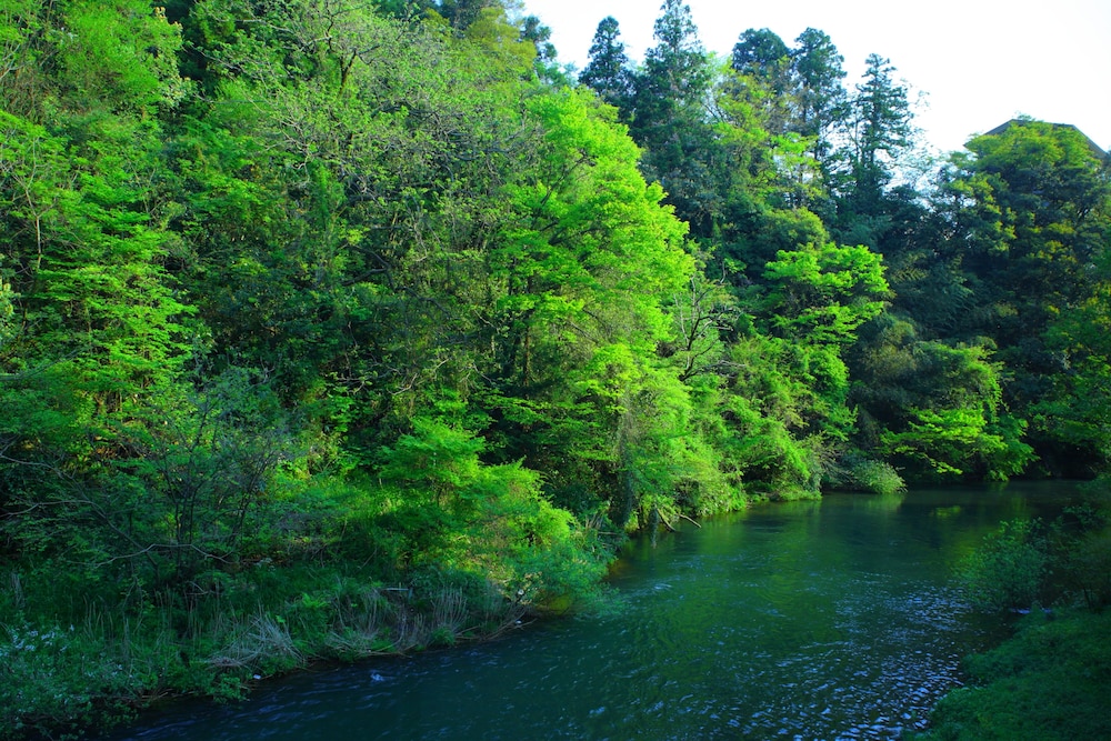 山中温泉 お花見久兵衛 小松
