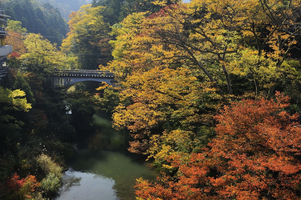 山中温泉 お花見久兵衛 小松