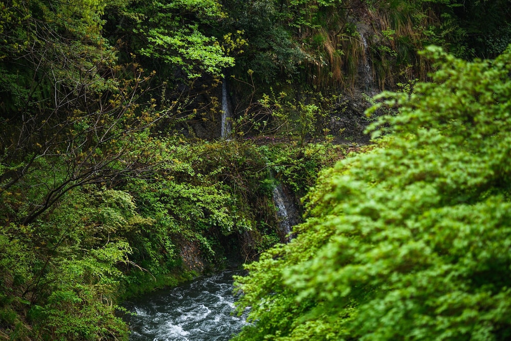 山中温泉 白鷺湯たわらや 小松
