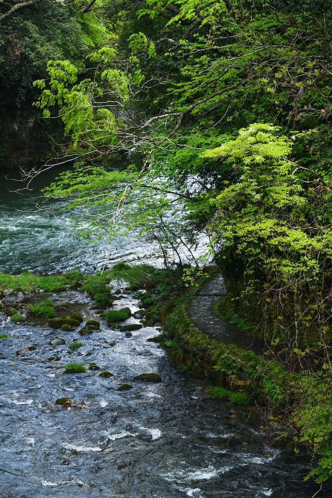 山中温泉 白鷺湯たわらや 小松