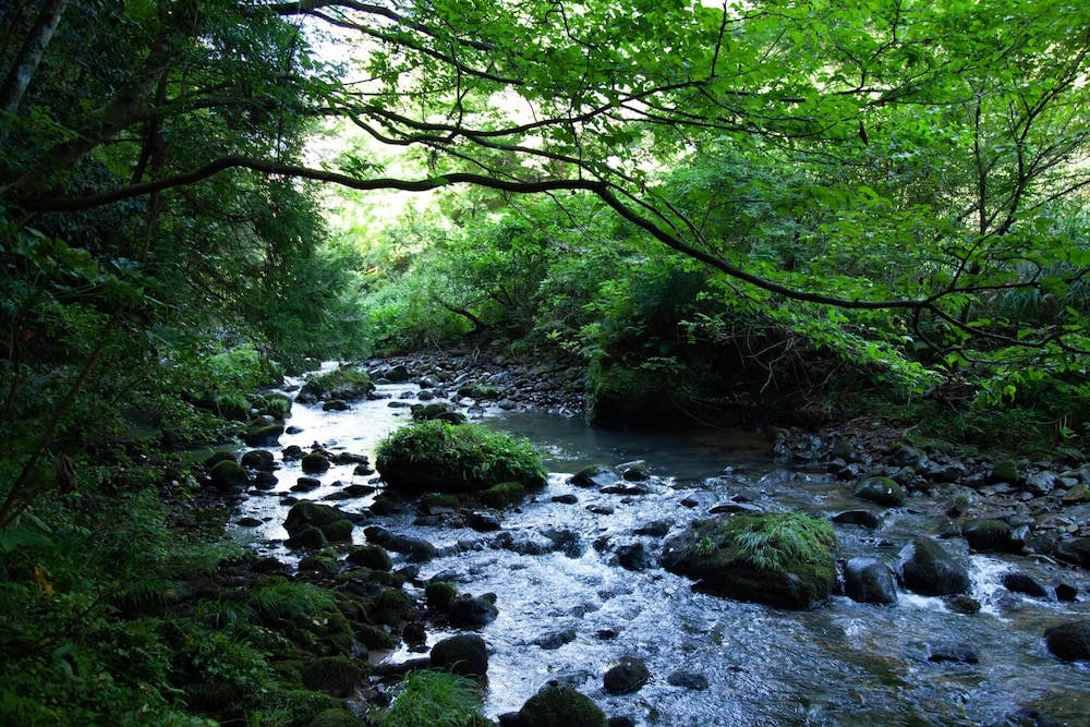 山中温泉 白鷺湯たわらや 小松