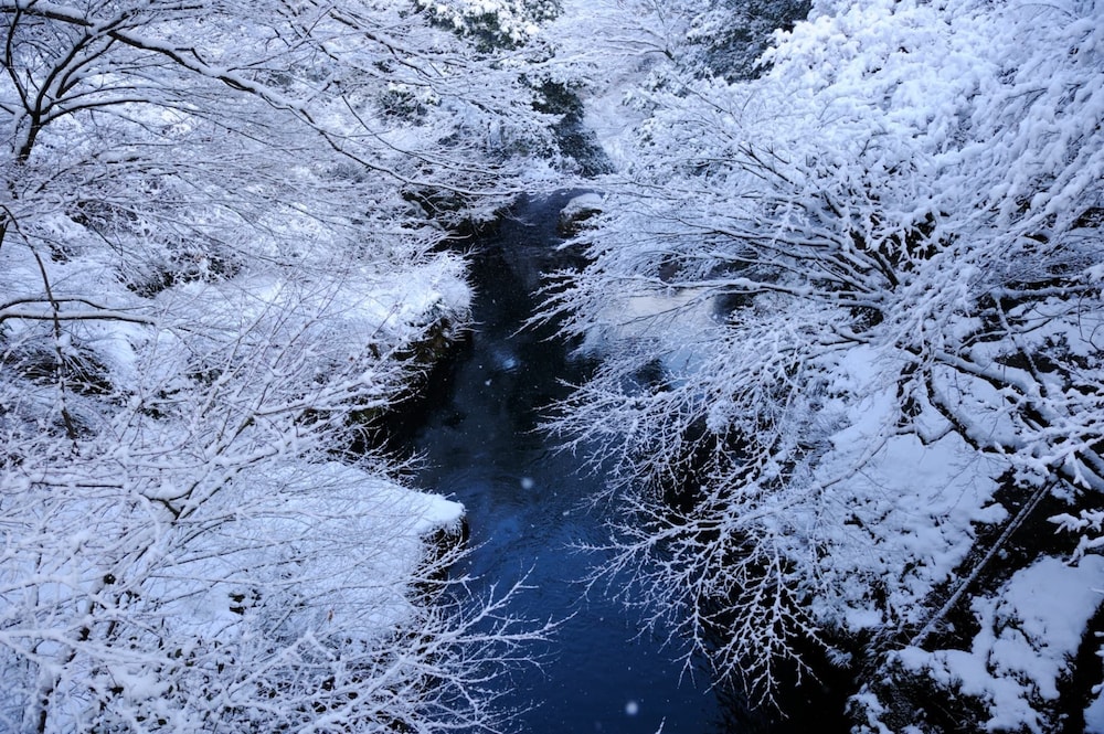 山中温泉 白鷺湯たわらや 小松