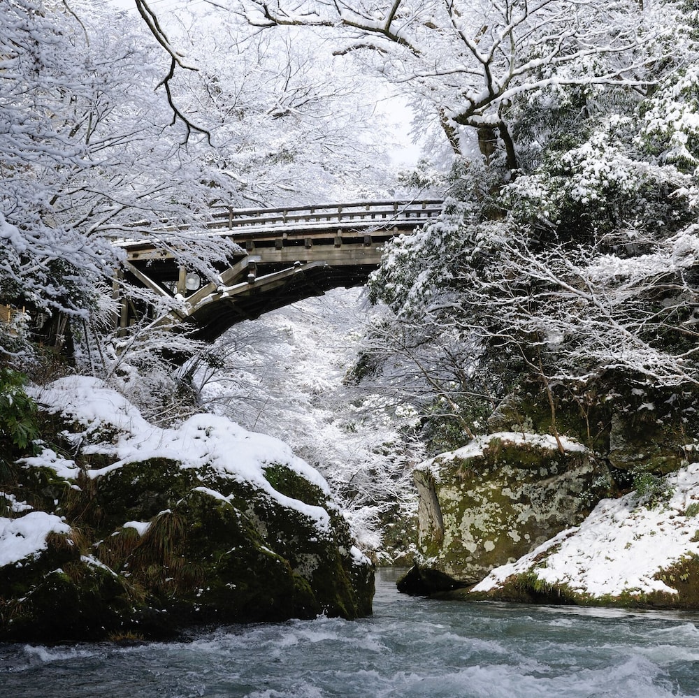 山中温泉 白鷺湯たわらや 小松