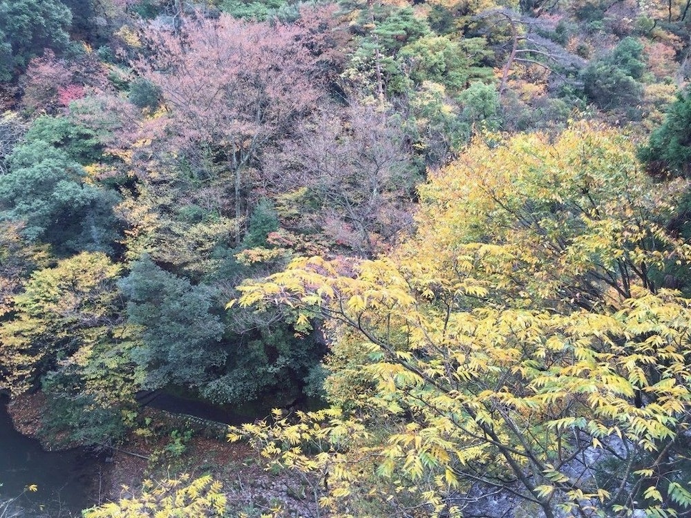 山中温泉鶴仙庵 小松