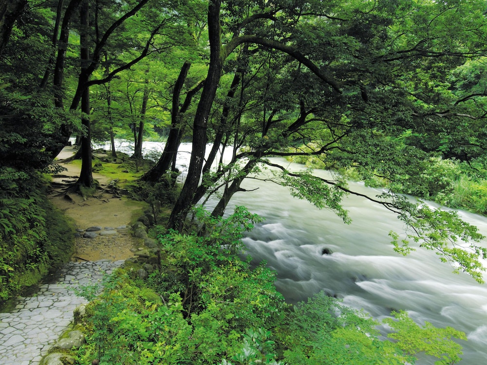 大江戸温泉物語 山中彩朝楽 小松