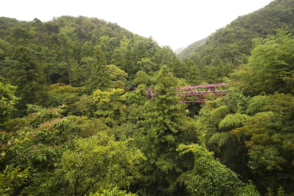 胡蝶 小松
