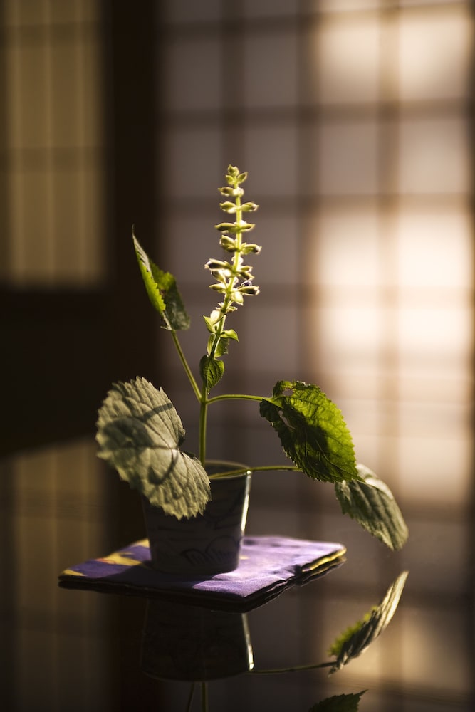 深谷温泉 元湯石屋 小松