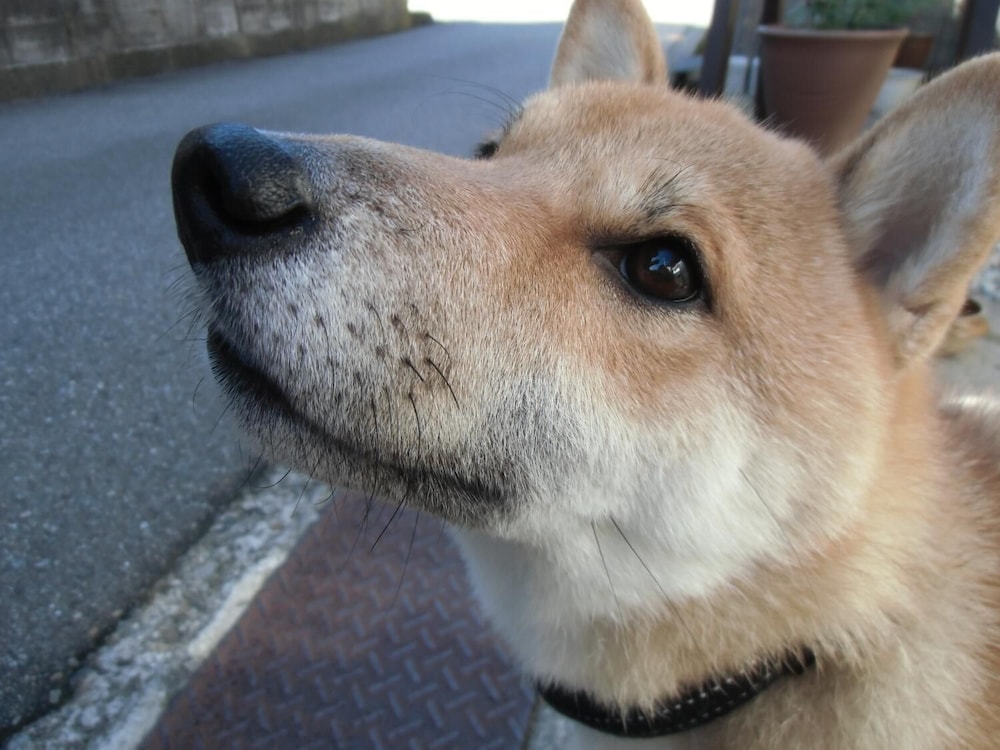 金沢 シェア ハウス GAOOO 小松