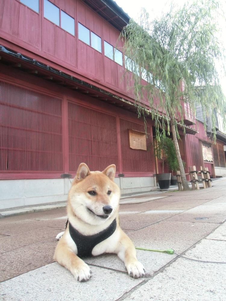 金沢 シェア ハウス GAOOO 小松