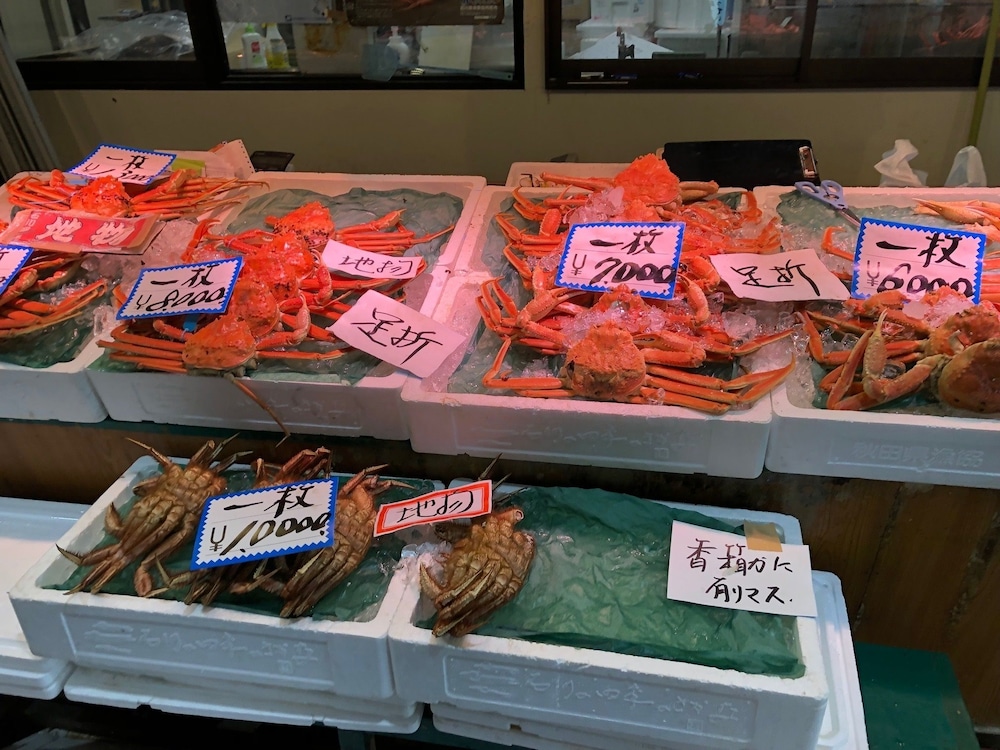 蒼風庵 小松