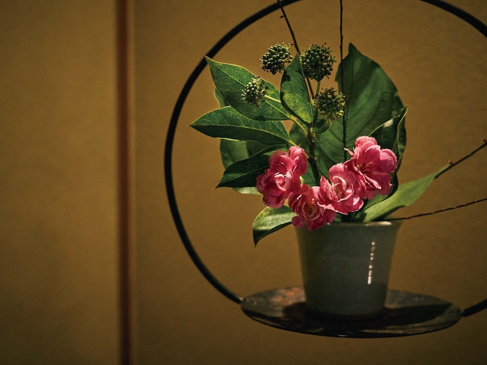 大江戸温泉物語わんわんリゾート 矢田屋松濤園 小松