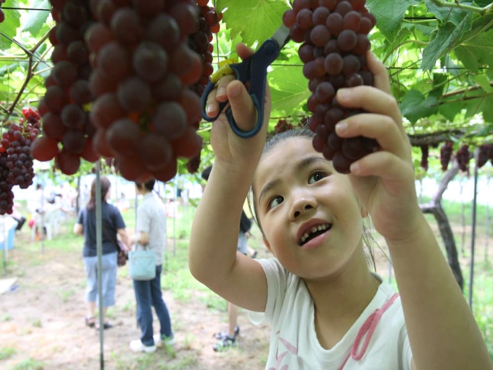 大江戸温泉物語わんわんリゾート 矢田屋松濤園 小松