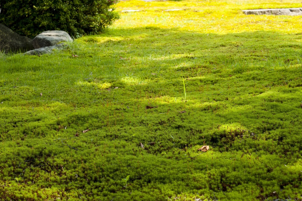 旅亭　萬葉 小松