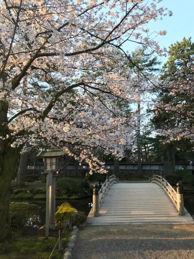 タウンホテルフォーティーワン 小松