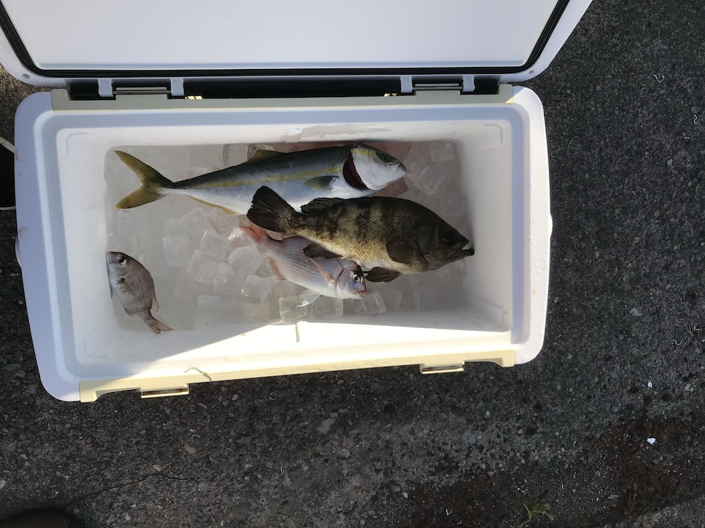 B&B MIKAWA - KANAZAWA FISH HARBOUR 小松