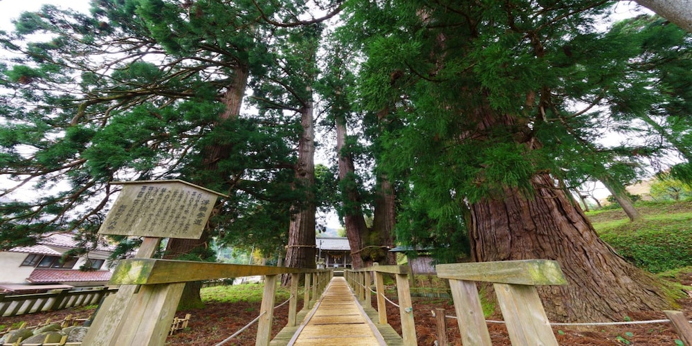 山中温泉 花つばき 小松
