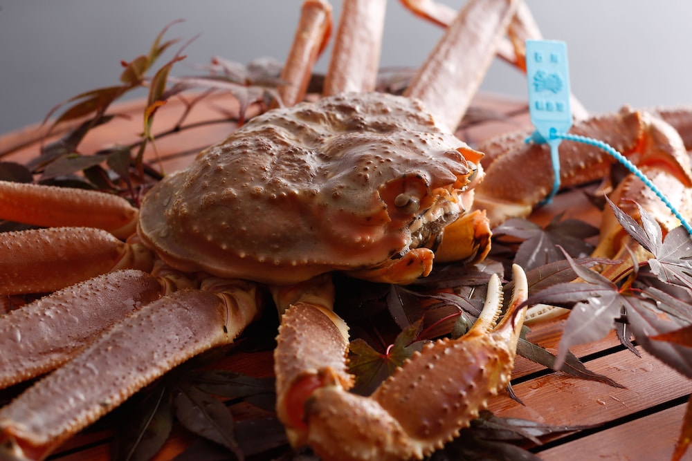 山中温泉 花つばき 小松