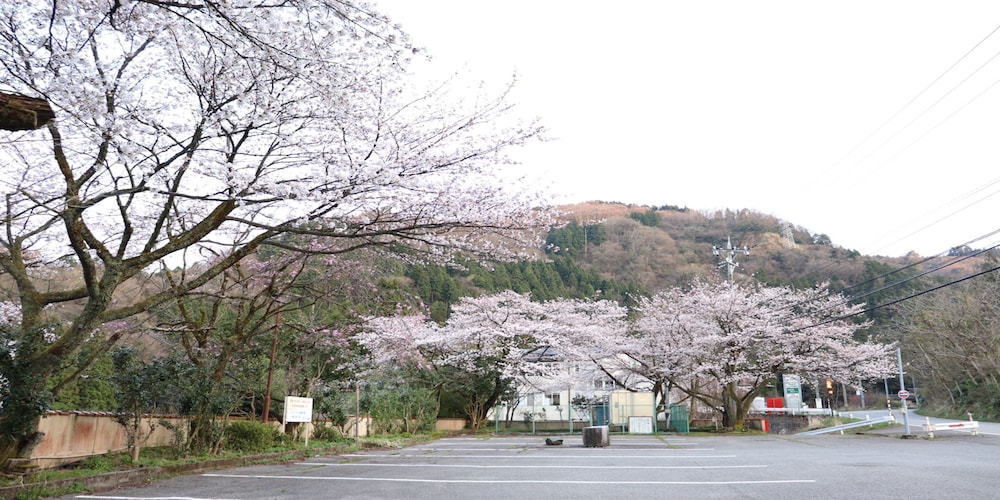 山中温泉 花つばき 小松