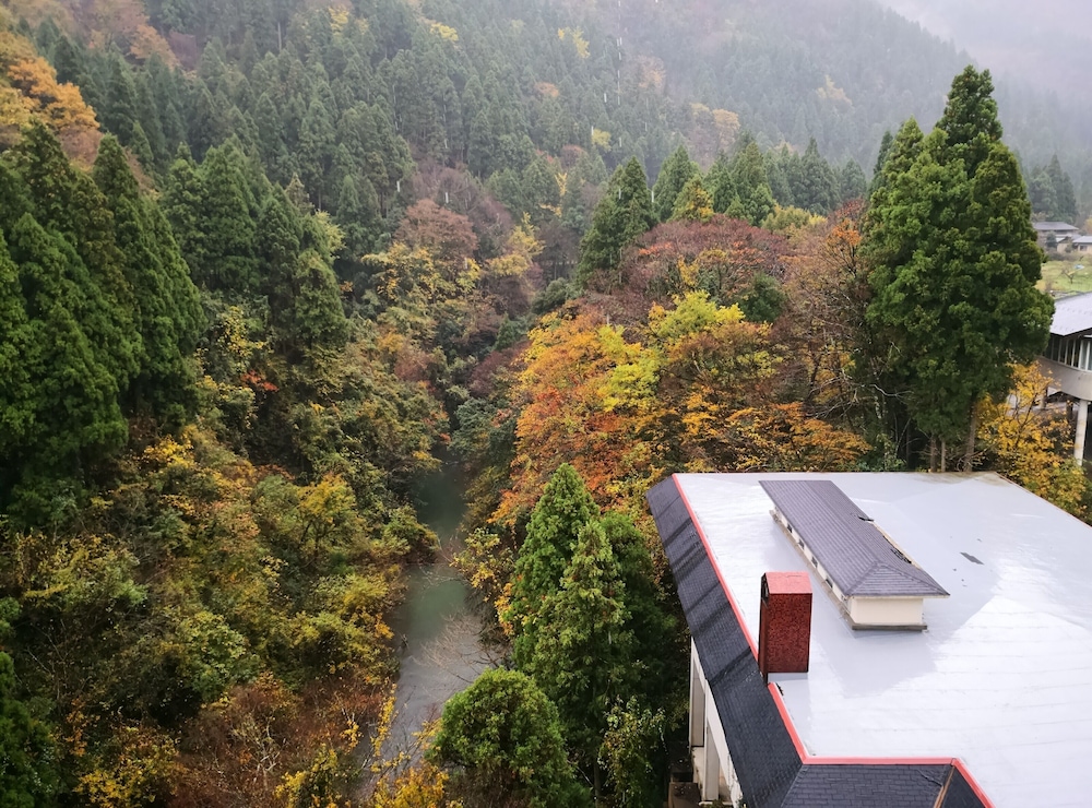 山中温泉 花つばき 小松