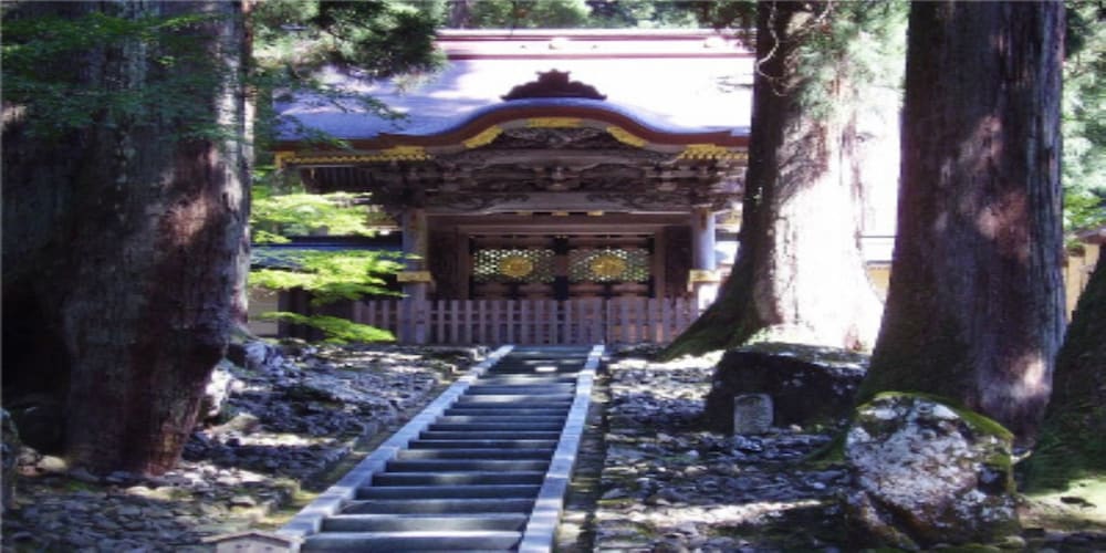 山中温泉 花つばき 小松